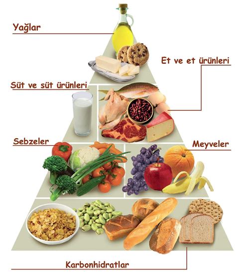 Dengeli Beslenme ve Diyet Planları