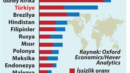 Türkiye'nin Yeni Ekonomik Tedbirleri: İşsizlik ve Enflasyon